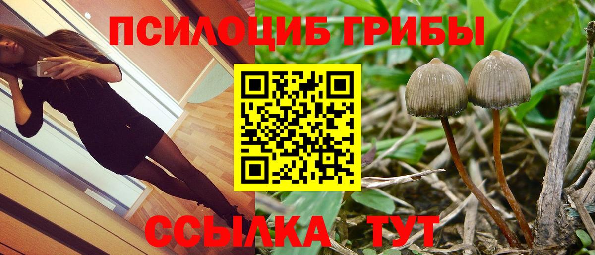 Псилоцибиновые грибы Magic Shrooms Нижний Новгород