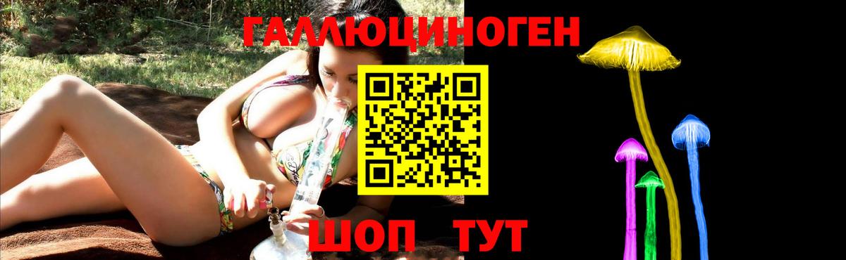 APVP Нижний Новгород